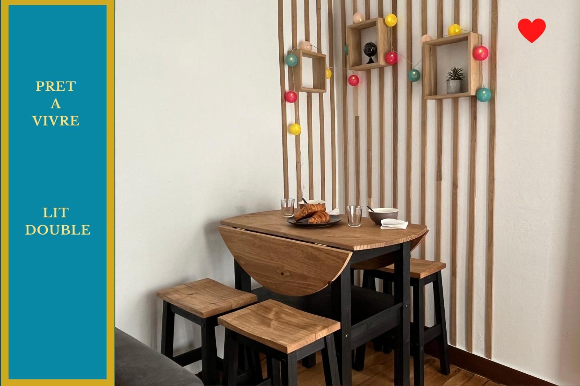 Nicolas En Vienne - Cosy, Confortable, Equipe Appartement